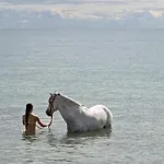 Holiday home Maison Moderne De Plain-pied Proche De La Agon-Coutainville