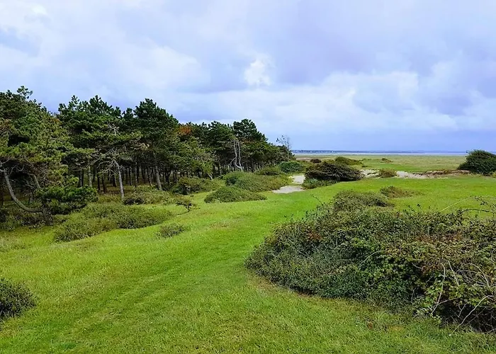 Maison Moderne De Plain-pied Proche De La *