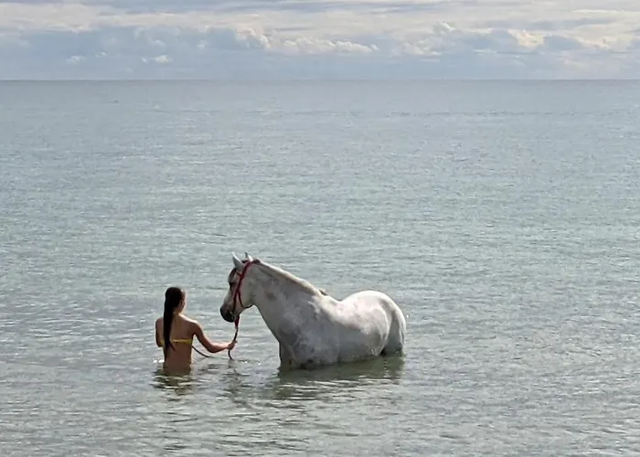 別荘 Maison Moderne De Plain-pied Proche De La アゴン・クタンヴィル
